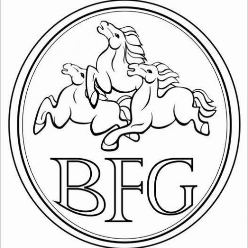 BFG Publishing LLP