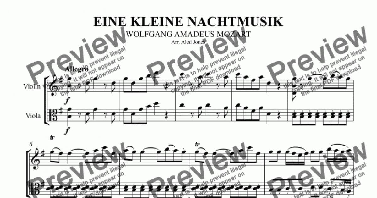 Eine kleine Nachtmusik Essays