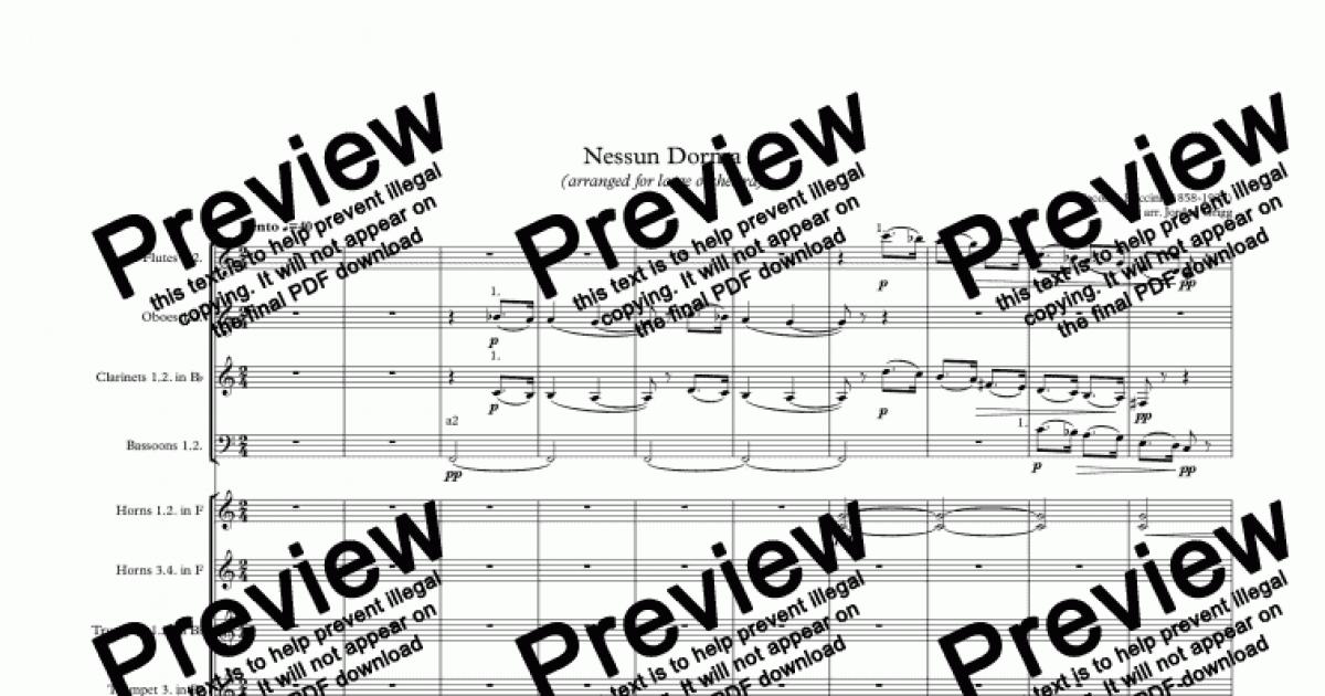 Nessun Dorma (arranged for large orchestra) - Download Sheet Music PDF