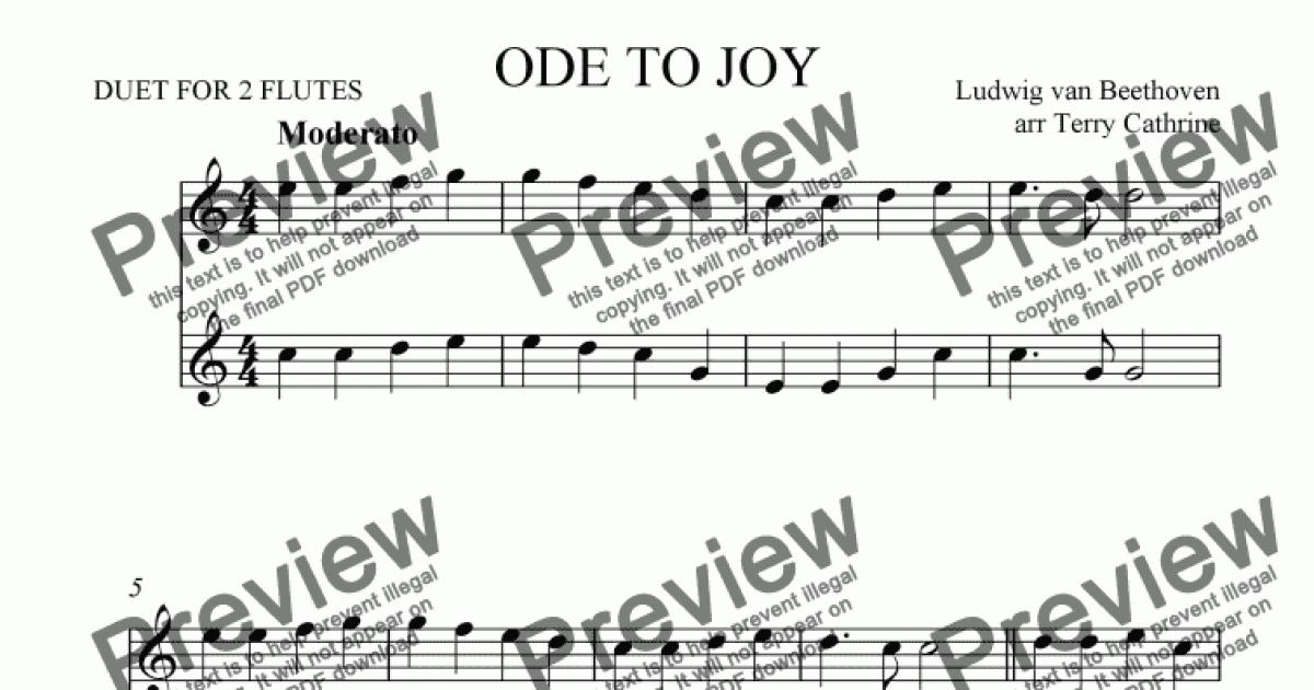 Ode To Joy for Flute Duet - Download Sheet Music PDF file