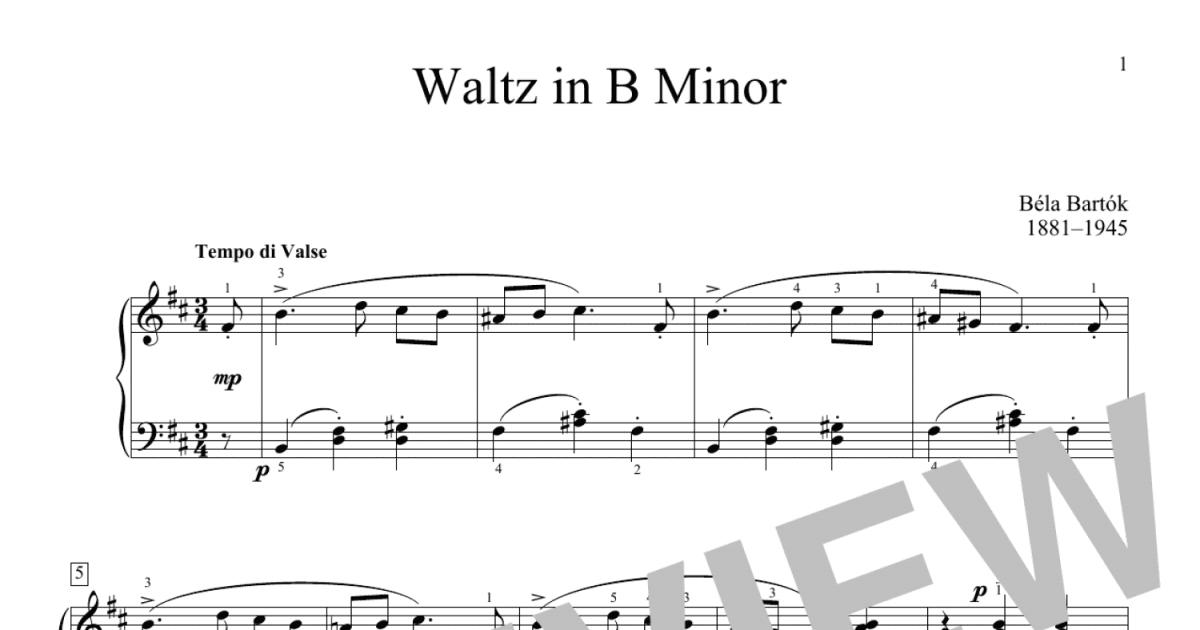 Waltz In B Minor (Educational Piano) - Print Sheet Music Now