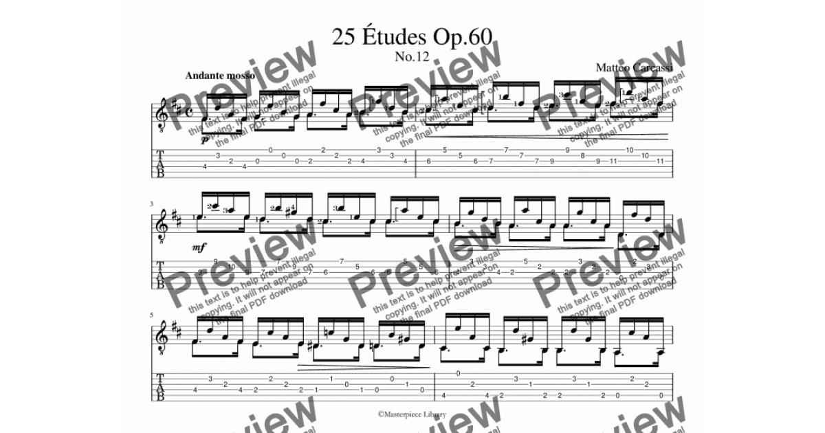 12 etudes op 25 no 11