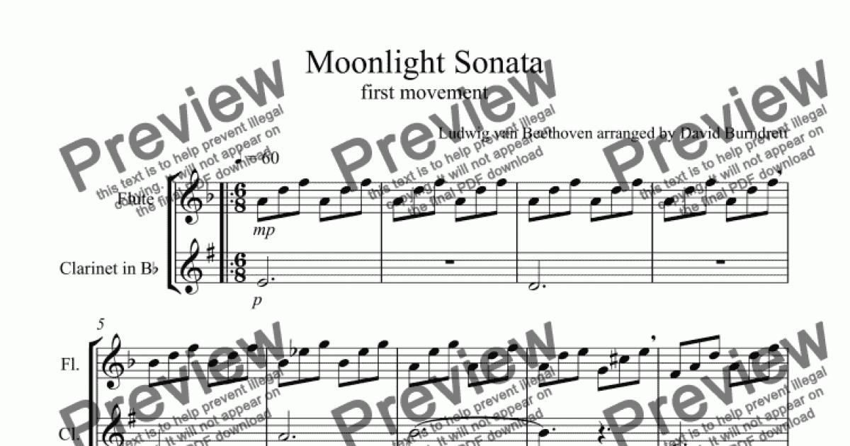 Moonlight Sonata (1st Movement) For Flute And Clarinet Duet - Buy PDF