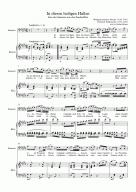 In diesen heiligen Hallen - Download Sheet Music PDF file