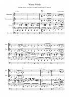 Winter Winds (Alto / Ten Sax/Piano/Bass) - Download Sheet Music PDF