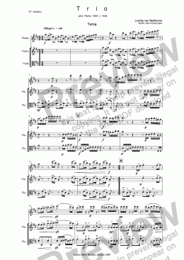 page one of Beethoven, Trio for flute,  Violin  y  Viola