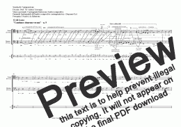 page one of A. Verrengia, Analisi compositiva contrappuntistica - O. di Lasso, Cantiones Duarum Vocum (n. 9)