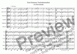 page one of Eine Kleinerer Nackedermusiker 1st Movement