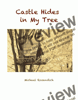 page one of Castle Hides in My Tree..