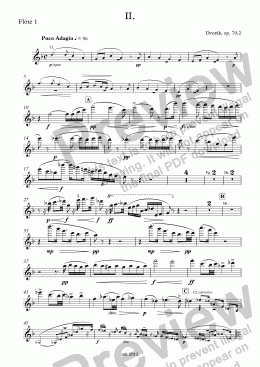 page one of Dvořák, Sinfonie Nr. 7 op. 70, II. Poco Adagio – fl1