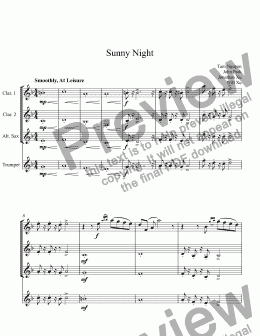 page one of Sunny Night