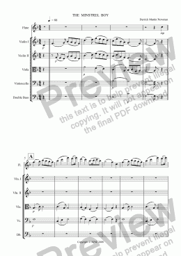 page one of THE MINSTREL BOY - Flute + Strings op.5 no.3 