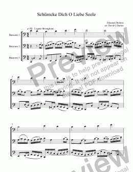 page one of Schümcke Dich O Liebe Seele for Bassoon Trio