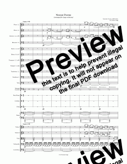 page one of Nessun Dorma (arranged for large orchestra)