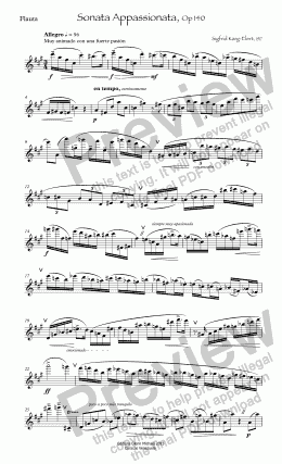 page one of Karg-Elert Sonata Appassionata, Op 140