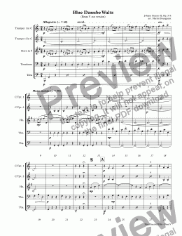 page one of Blue Danube Waltz