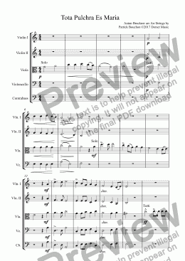 page one of Bruckner - Tota Pulchra Es Maria for Strings