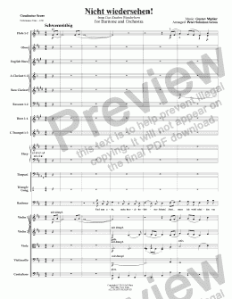 page one of Mahler - Nicht Wiedersehen!