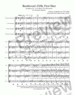 page one of Beethoven - Beethovens Fifth, First Shot