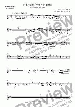 page one of A Breeze from Alabama Cornet Part in Bb