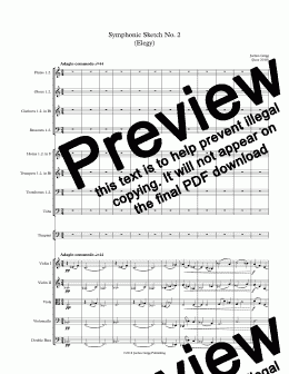 page one of Symphonic Sketch No 2 (Elegy) - Score and parts