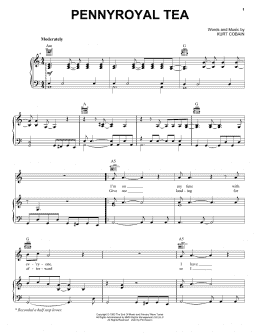 page one of Pennyroyal Tea (Piano, Vocal & Guitar Chords (Right-Hand Melody))