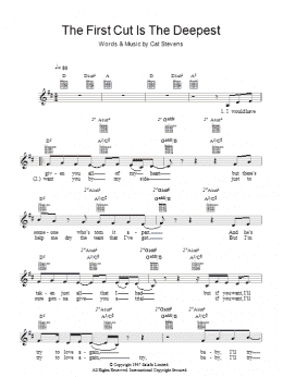 page one of The First Cut Is The Deepest (Lead Sheet / Fake Book)