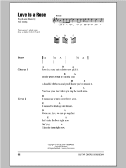 page one of Love Is A Rose (Guitar Chords/Lyrics)