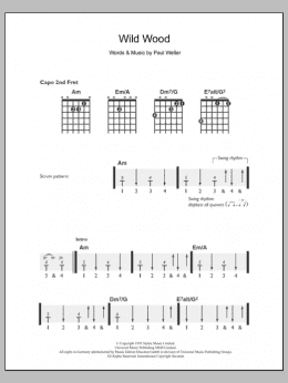 page one of Wild Wood (Easy Guitar)