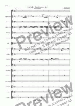 page one of Horn Solo - Horn Concerto No. 1