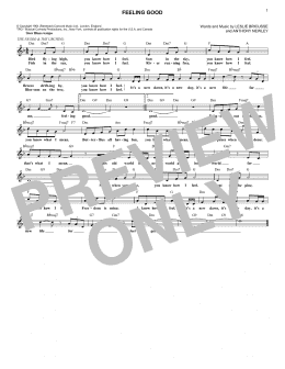 page one of Feeling Good (Lead Sheet / Fake Book)