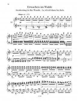 page one of Awakening in the Woods (Piano Solo)