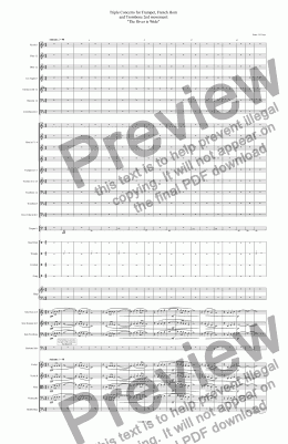 page one of Triple Concerto for Trumpet, French Horn  and Trombone 2nd movement: "The River is Wide"