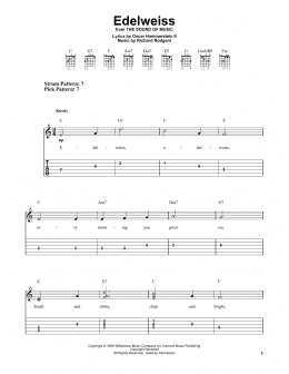 page one of Edelweiss (from The Sound Of Music) (Easy Guitar Tab)