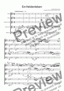 page one of Ein Heldenleben for Wind Quintet