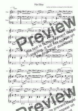 page one of Für Elise for Flute and Piano