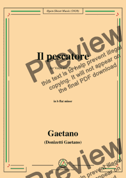 page one of Donizetti-Il pescatore,in b flat minor,for Voice and Piano