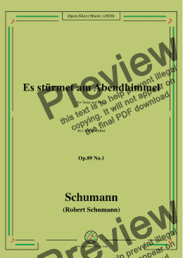 page one of Schumann-Es stürmet am Abendhimmel,Op.89 No.1,in c sharp minor,for Voice&Pno 