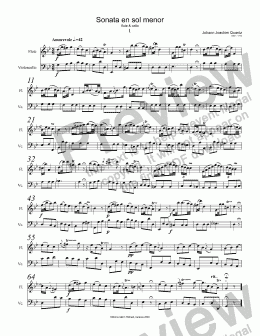 page one of Sonata en sol menor flute & cello 