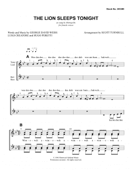 page one of The Lion Sleeps Tonight (arr. Scott Turnbull) (SSAA Choir)