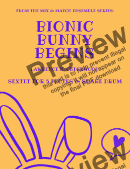 page one of Bionic Bunny Begins for Flute