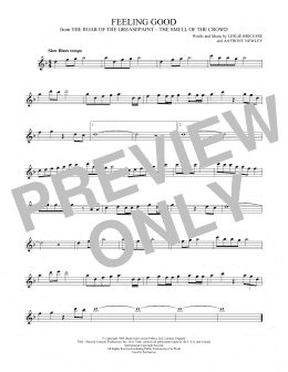 page one of Feeling Good (Flute Solo)