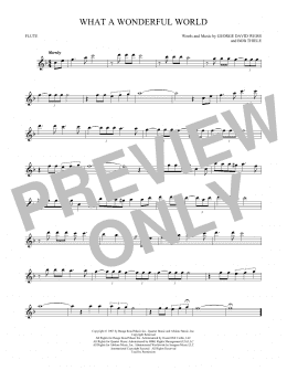 page one of What A Wonderful World (Flute Solo)