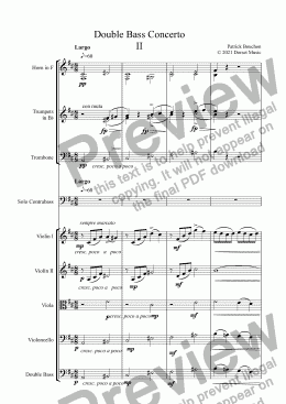 page one of Double Bass Concerto  2nd Movement