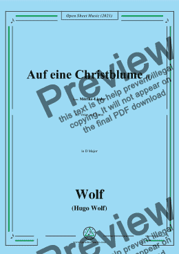 page one of Wolf-Auf eine Christblume I,in D Major,IHW 22 No.20,from Morike-Lieder,for Voice and Piano