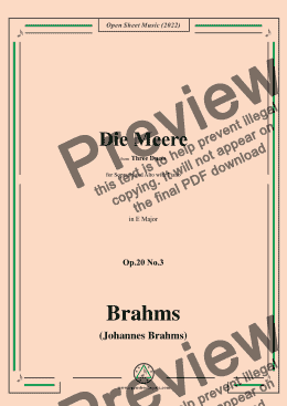 page one of Brahms-Die Meere-The Sea,Op.20 No.3,in E minor,from Three Duets