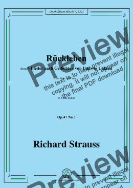 page one of Richard Strauss-Rückleben,in b flat minor,Op.47 No.3,for Voice and Piano