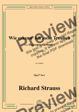 page one of Richard Strauss-Wie erkenn' ich mein Treulieb,in a minor,Op.67 No.1,for Voice and Piano