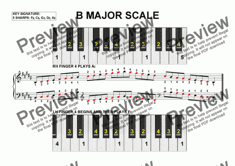 B Major Scale - Download Sheet Music PDF File