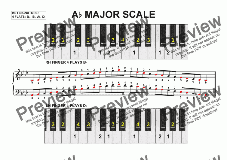 List the pitches of the b flat Major scale.